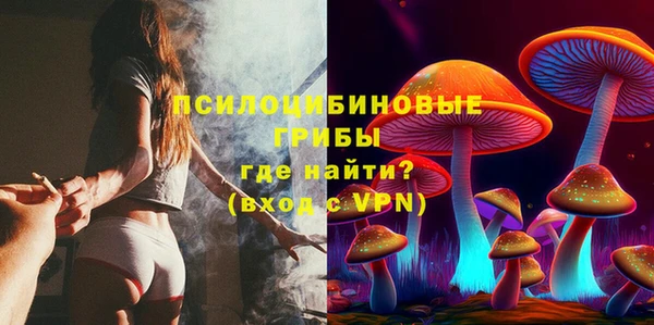 спиды Костерёво