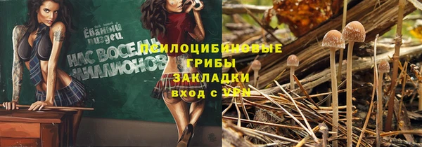 спиды Коряжма