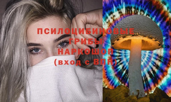 спиды Коряжма