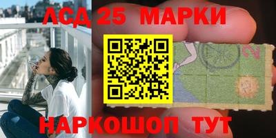 тгк Гай