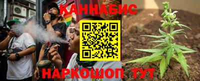 тгк Гай