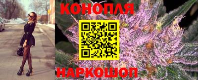 тгк Гай