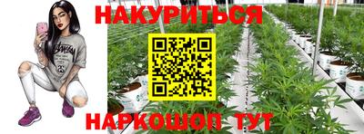 амфетамин Гатчина