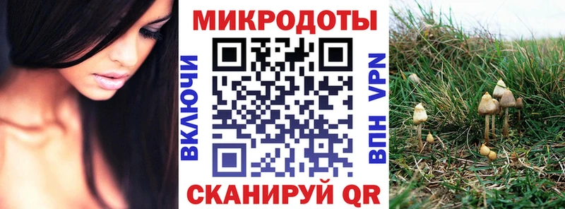 купить кракен как зайти Галлюциногенные грибы Psilocybine cubensis Копейск