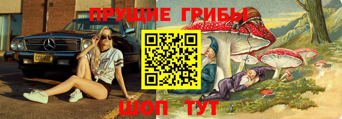 Галлюциногенные грибы Psilocybine cubensis Копейск