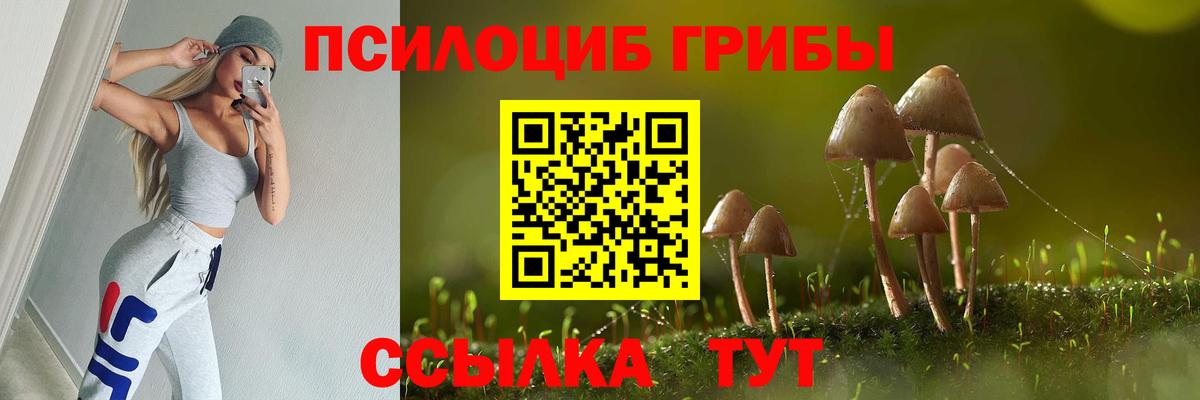 Копейск  Галлюциногенные грибы ЛСД  Вход с VPN 